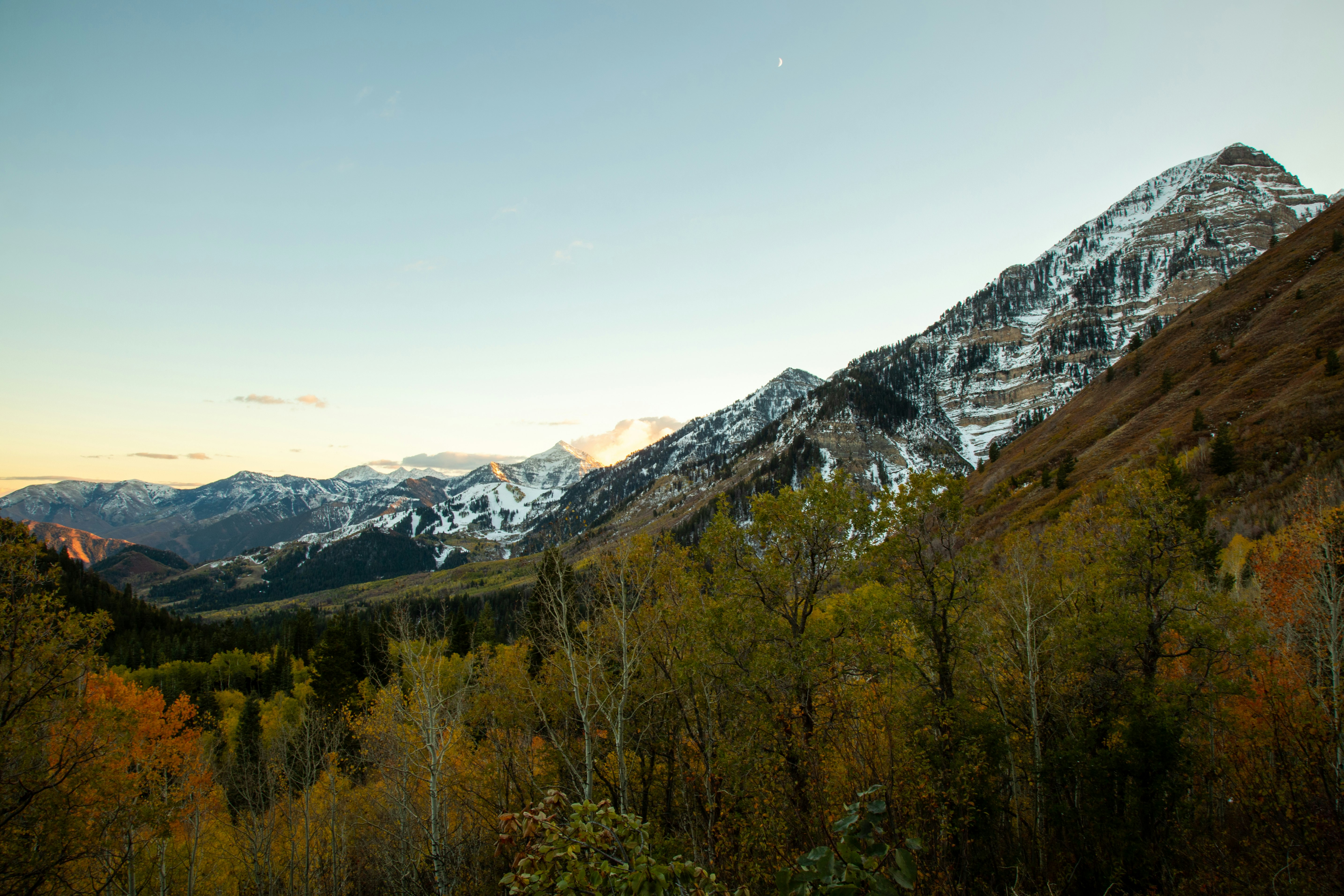 green trees near snow covered mountain during daytime